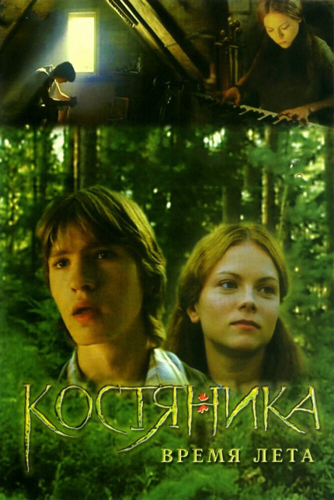 КостяНика. Время лета (2006)